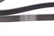 6 PK 1460 CONTITECH Ремінь струмковий VW T4 2.0i / Ford Transit Connect 1.8 DI / TDCI 6 PK 1460 фото 3