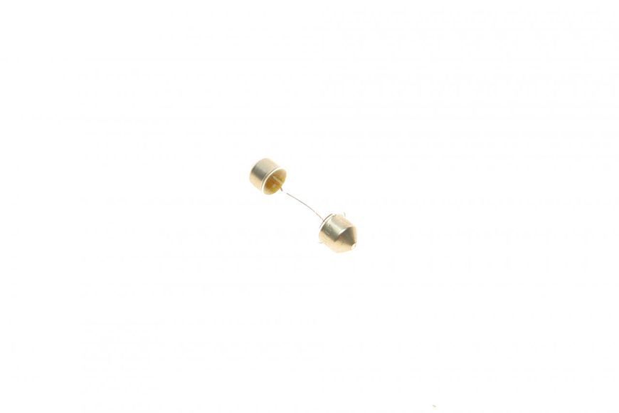 1 987 302 228 BOSCH Лампочка освітлення номерного знаку (салону) (C10W) 12 V 1 987 302 228 фото