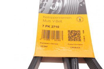 7 PK 2710 CONTITECH Ремінь струмковий Ford Transit V-184 2.4 DI (- AC) 7 PK 2710 фото