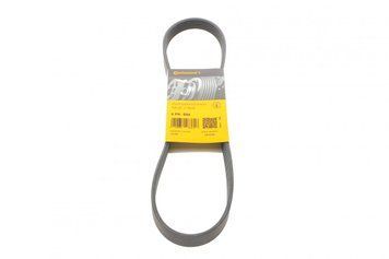 6 PK 894 CONTITECH Ремінь струмковий Renault Kangoo 1.9 D 1998- 6 PK 894 фото