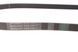 6 PK 1360 CONTITECH Ремінь струмковий Citroen Berlingo / Peugeot Partner 1.6 HDI 2008- 6 PK 1360 фото 2