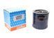 LS880A PURFLUX Фільтр масляний Peugeot Boxer / Citroen Jumper 2.5 D / TD 1994 - 2002 LS880A фото 1