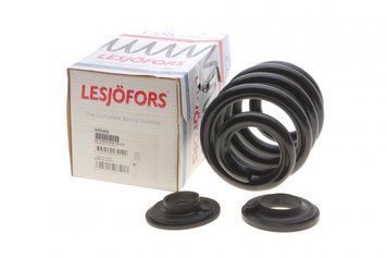 LS4295060 LESJOFORS Пружина задня VW T5 2003- (посилена) LS4295060 фото
