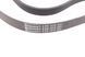 6 PK 1370 CONTITECH Ремінь струмковий Fiat Ducato / Doblo / Opel Combo 1.6 - 2.0 D Multijet / CDTI 2010- 6 PK 1370 фото 3
