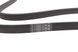 6 PK 1750 CONTITECH Ремінь струмковий VW LT/T4 2.5 TDI 6 PK 1750 фото 2