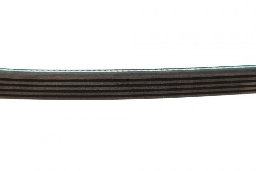 050 005 1135 MEYLE Ремінь струмковий Renault Kangoo 1.5 DCI 2001 - 2009 (- AC) (5 PK 1135) 050 005 1135 фото