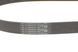 6 PK 1045 CONTITECH Ремінь струмковий VW T4 1.9 D/TD/Caddy II 1.9 D/TDI/SDI 6 PK 1045 фото 3