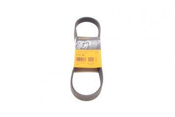 6 PK 800 CONTITECH Ремінь струмковий Peugeot Partner / Citroen Berlingo 1.6 HDI 2005- 6 PK 800 фото