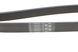 6 PK 1440 CONTITECH Ремінь струмковий Fiat Scudo / Peugeot Expert / Partner / Citroen Berlingo 1.9 D 1998- 6 PK 1440 фото 3