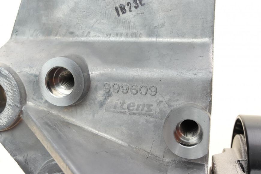 534 0146 10 INA Натягувач ременя Ford Transit Connect 1.8 DI/TDCI 2002- 534 0146 10 фото